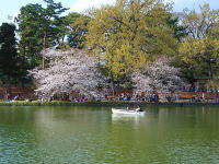 �����C���[�W