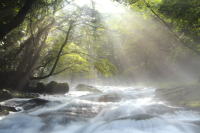 �����C���[�W